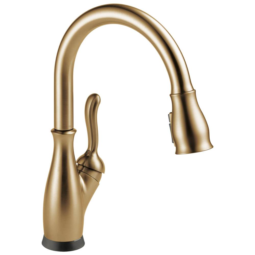 Delta Faucet Coranto™ VoiceIQ® Kitchen Faucet with Touch2O® with Touchless Technology