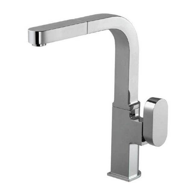 Hamat Single Function Pull Out Kitchen Faucet in Brushed Nickel