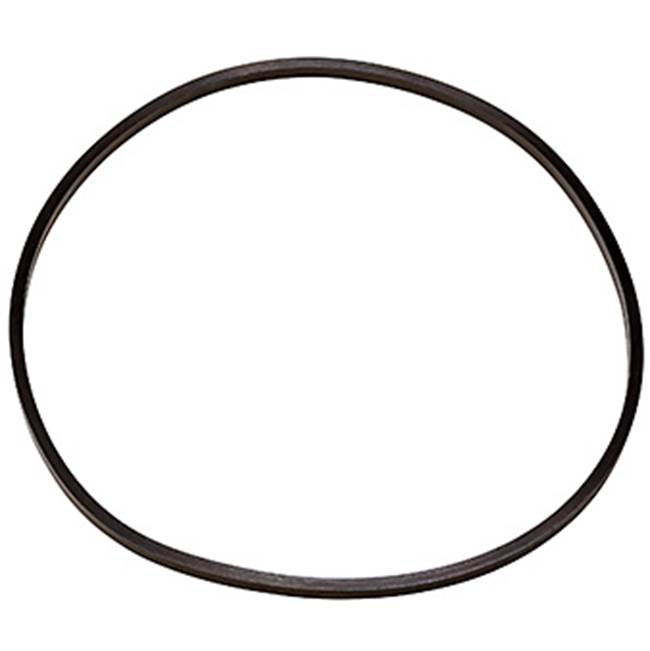 Pentair Square Cut O-Ring, for W10-BC and W15-BC Heavy-Duty Clear Housings