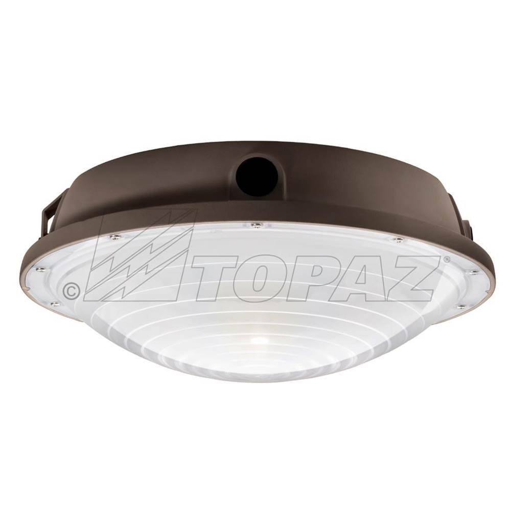 Topaz Lighting Canopy / Garage Lights - Round